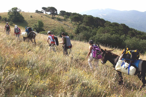 Il trekking someggiato è una forma di turismo ecologico che permette di scoprire un modo di vivere e di viaggiare del passato